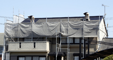 屋根・外壁塗装等のエクステリア工事